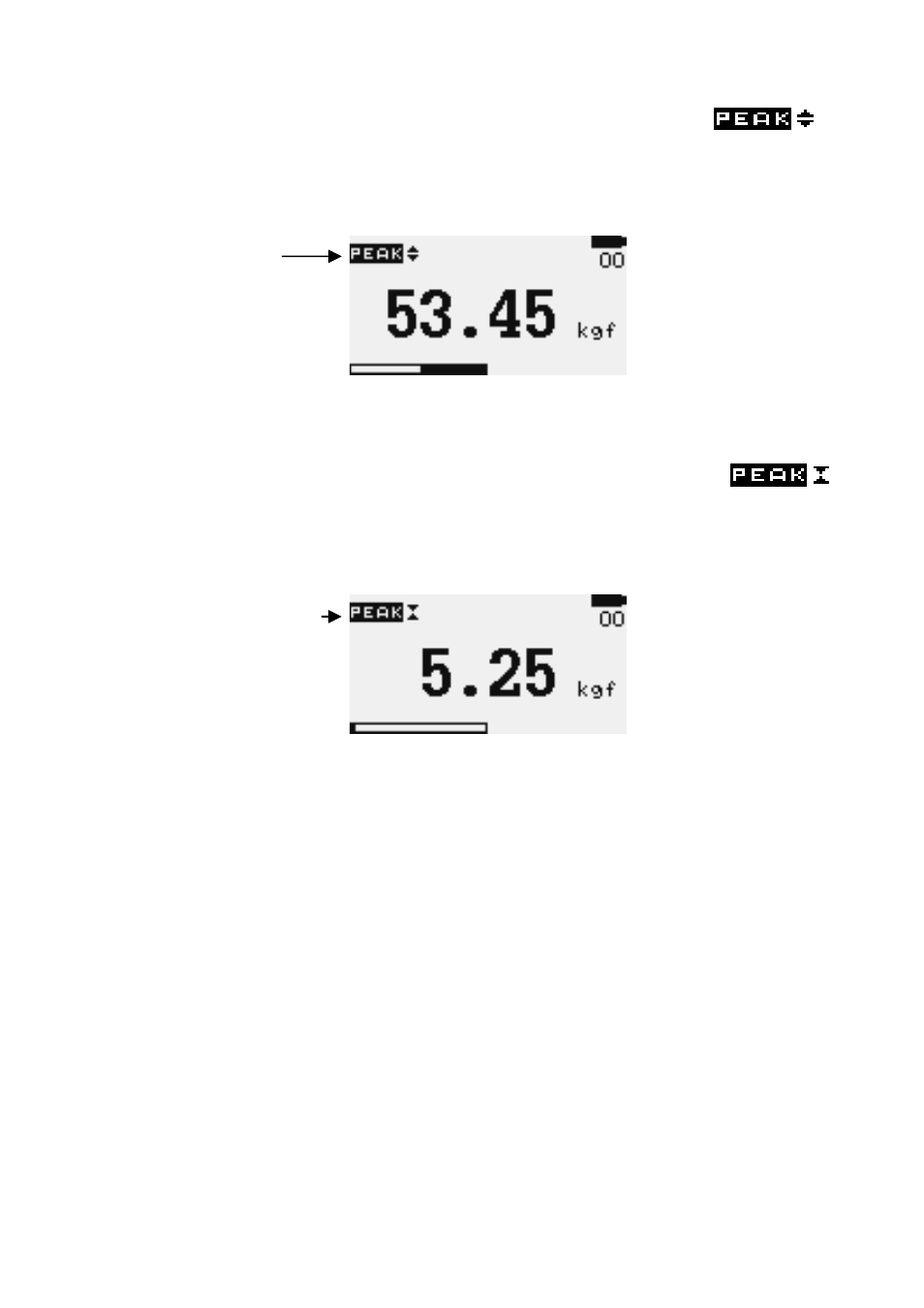 Dillon GS Plus Force Gauge User Manual | Page 8 / 18