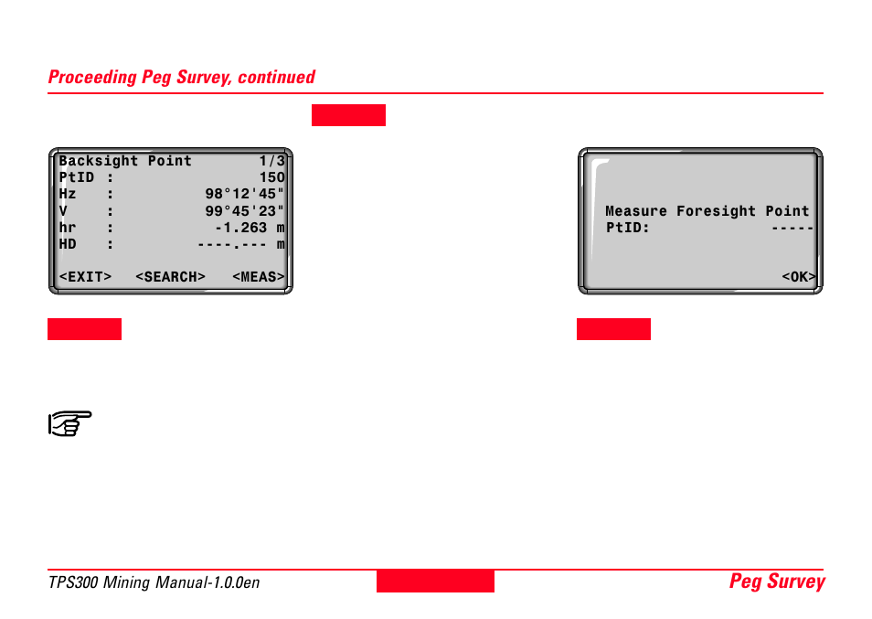 Peg survey 11 | Leica Geosystems TPS300 Basic Series User Manual | Page 11 / 32