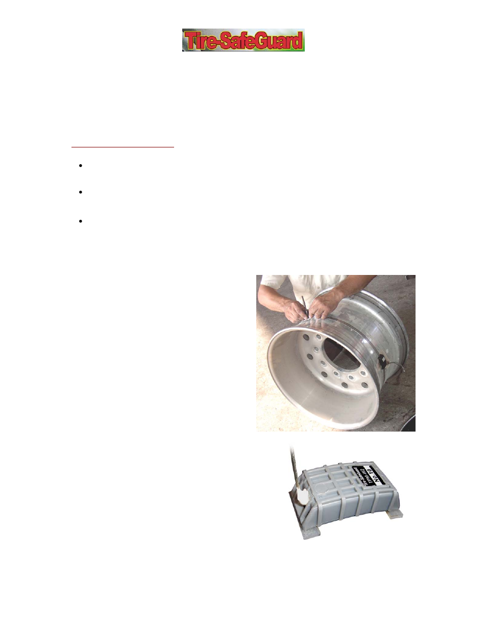 Tire-SafeGuard TTPM-WWC-SB User Manual | Page 4 / 6