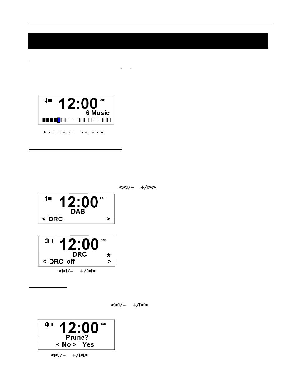 Using dab+ radio, Drc (dynamic range control), Prune order | BUSH DAB + ALARM CLOCK RADIO BCR31DAB User Manual | Page 10 / 22