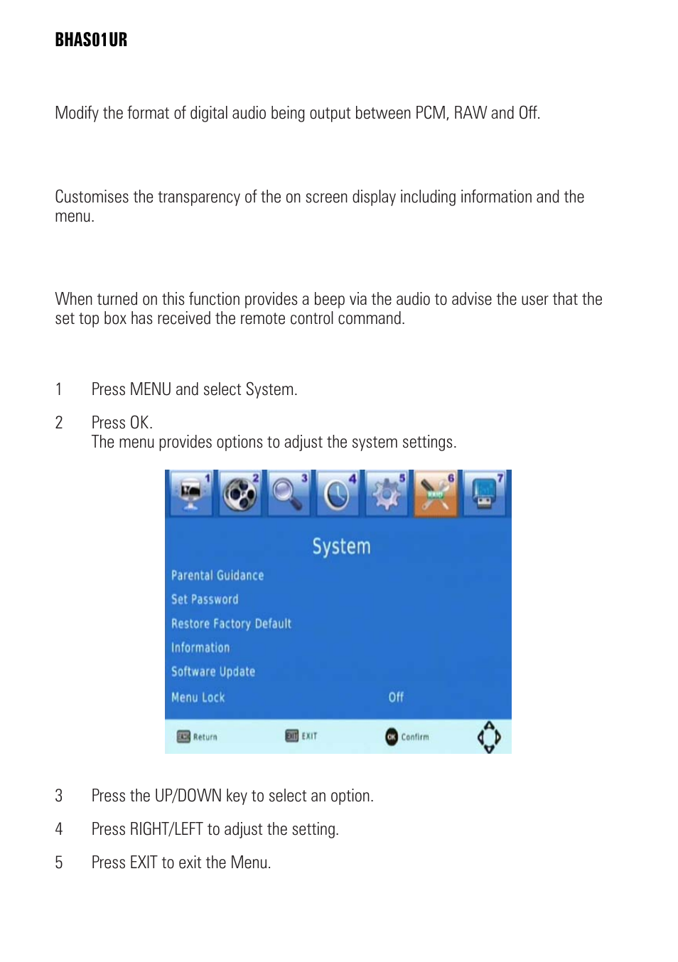 System setting | BUSH BHAS01UR User Manual | Page 26 / 40