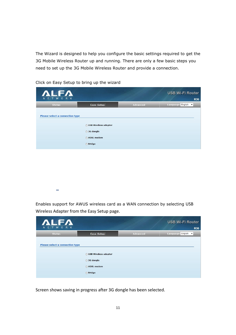 Setup wizard, Usb adapter with static ip | ALFA NETWORK R36 User Manual | Page 11 / 57