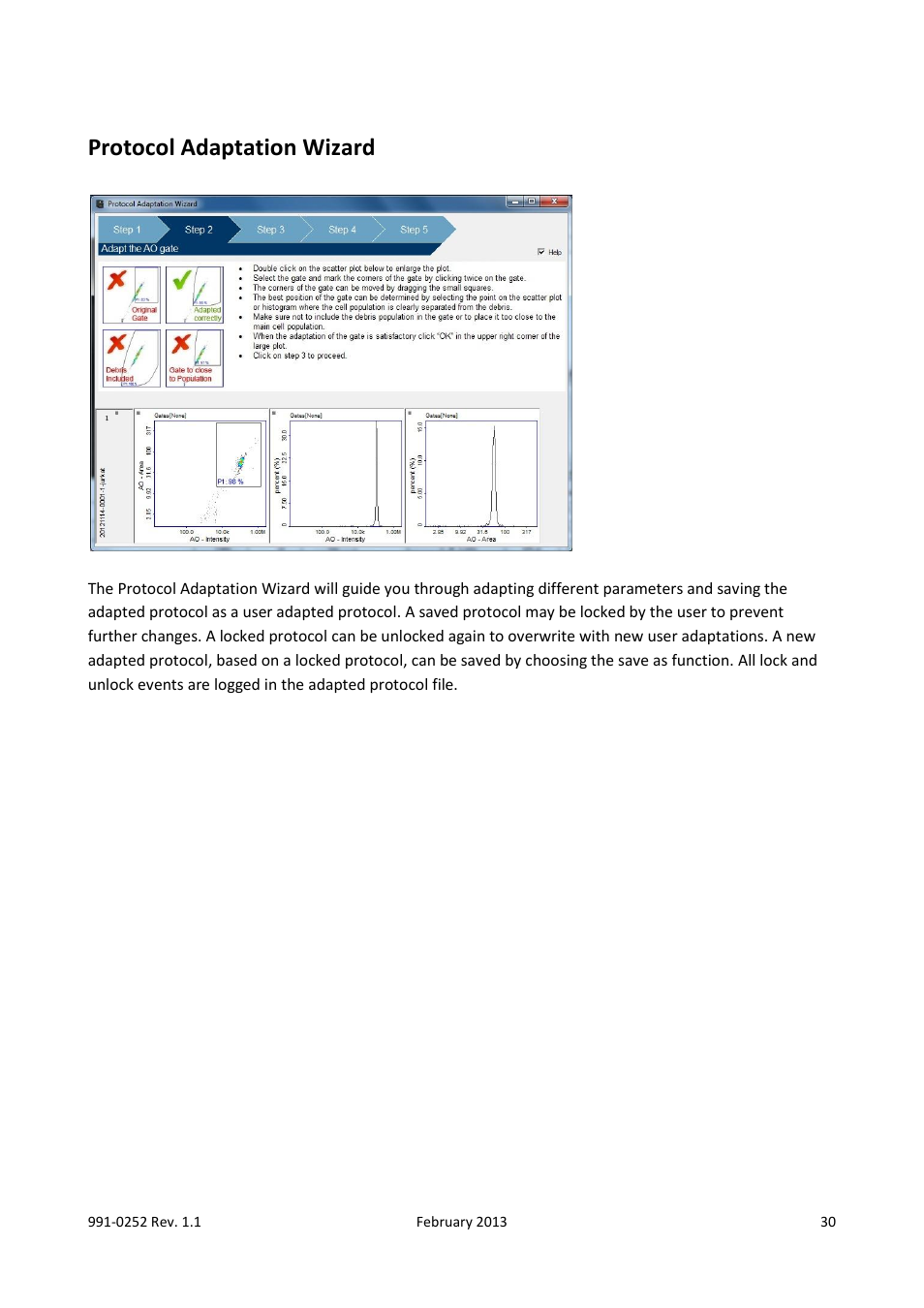 Protocol adaptation wizard | ChemoMetec NC-250 User Manual | Page 30 / 48