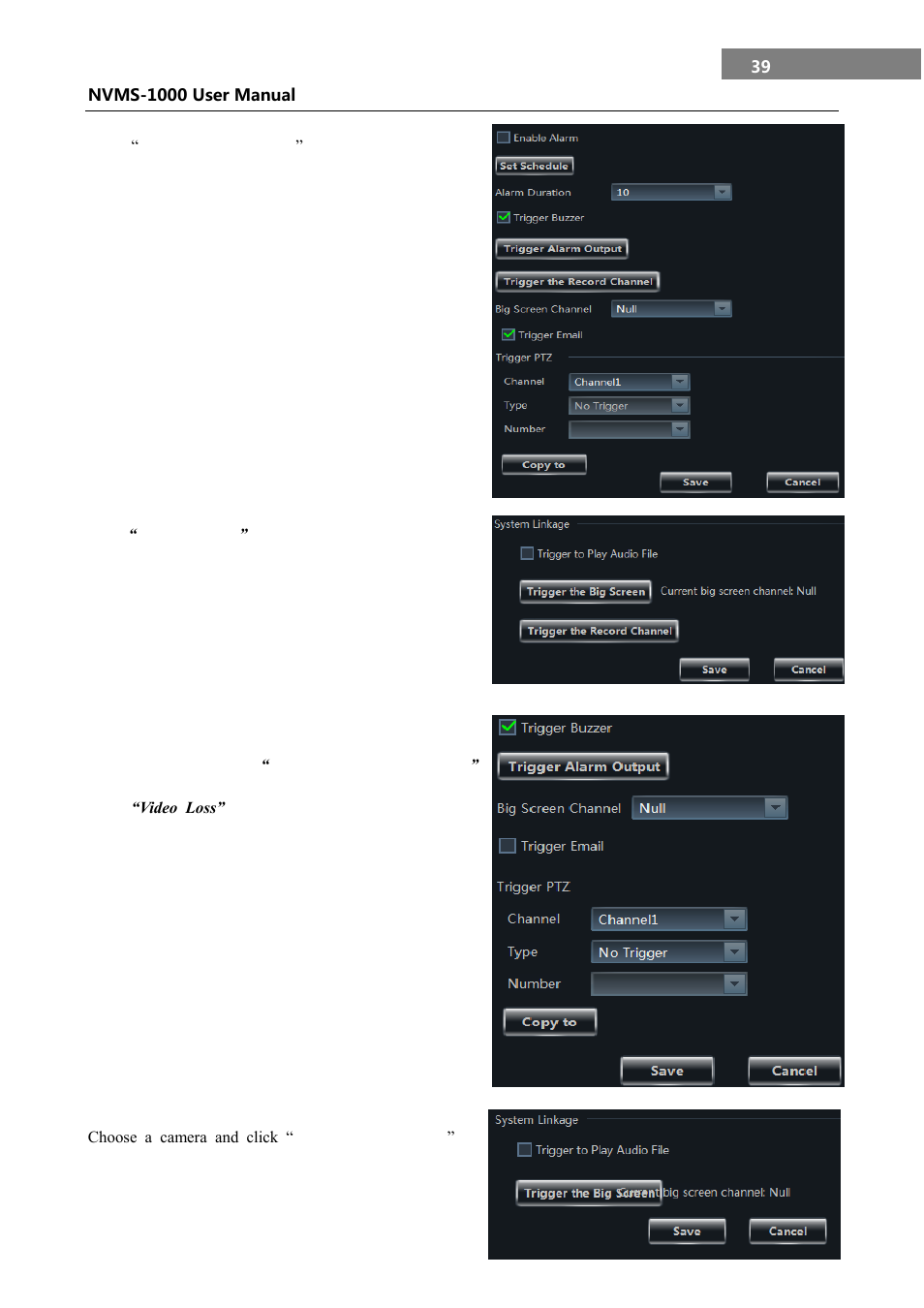 Video loss alarm, 3 video loss alarm | COP-USA NVMS 1000 User Manual | Page 42 / 55