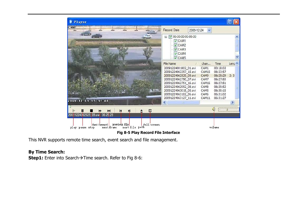 COP-USA NVR2816NE-L User Manual | Page 60 / 91
