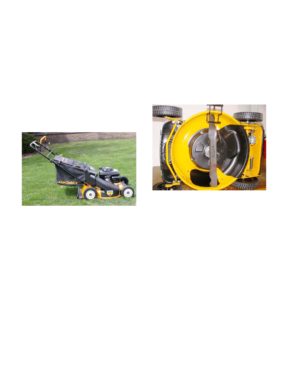 Introduction, Blade removal, Cc-949 rear wheel drive self-propelled mower | Cc-949 rear wheel drive | Cub Cadet CC 949 User Manual | Page 5 / 13