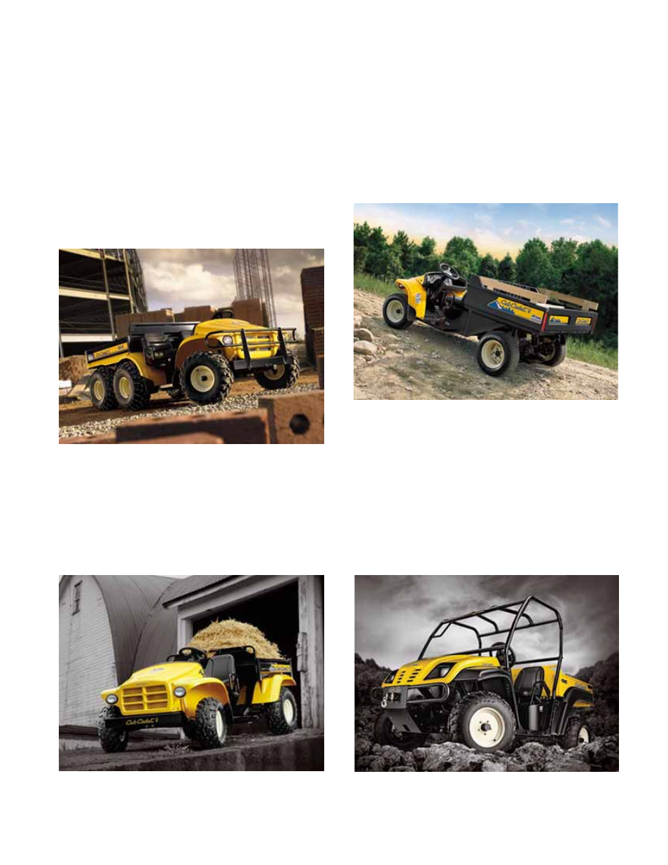 Chapter 1: introduction, Introduction : product line | Cub Cadet 4 x 4 Volunteer User Manual | Page 5 / 328