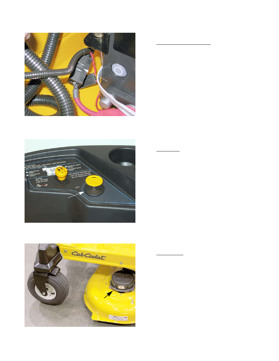 Cub Cadet RZT-S Zero Electric User Manual | Page 63 / 156