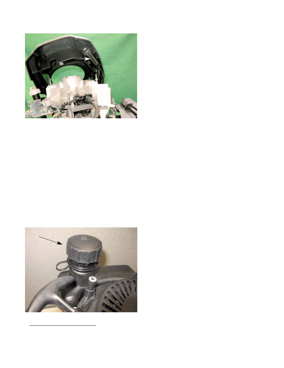 Evaporative (evap) emissions system | Cub Cadet MTD 70 Series User Manual | Page 49 / 142