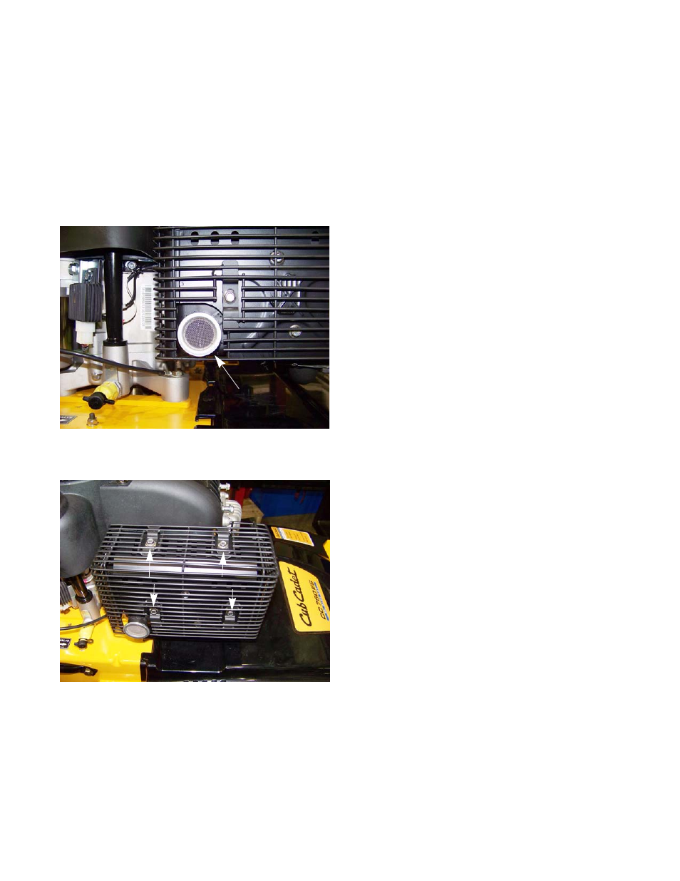 Chapter 8: exhaust, Spark arrestor (if equipped) | Cub Cadet MTD P90 Series User Manual | Page 85 / 120