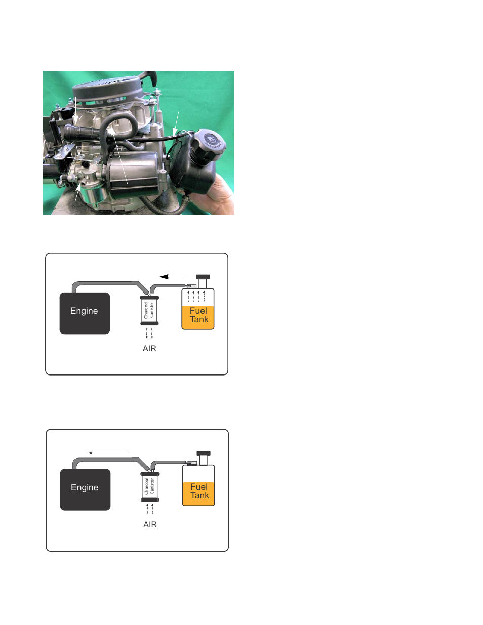 Evaporative (evap) emissions system | Cub Cadet MTD P71 Series User Manual | Page 47 / 120