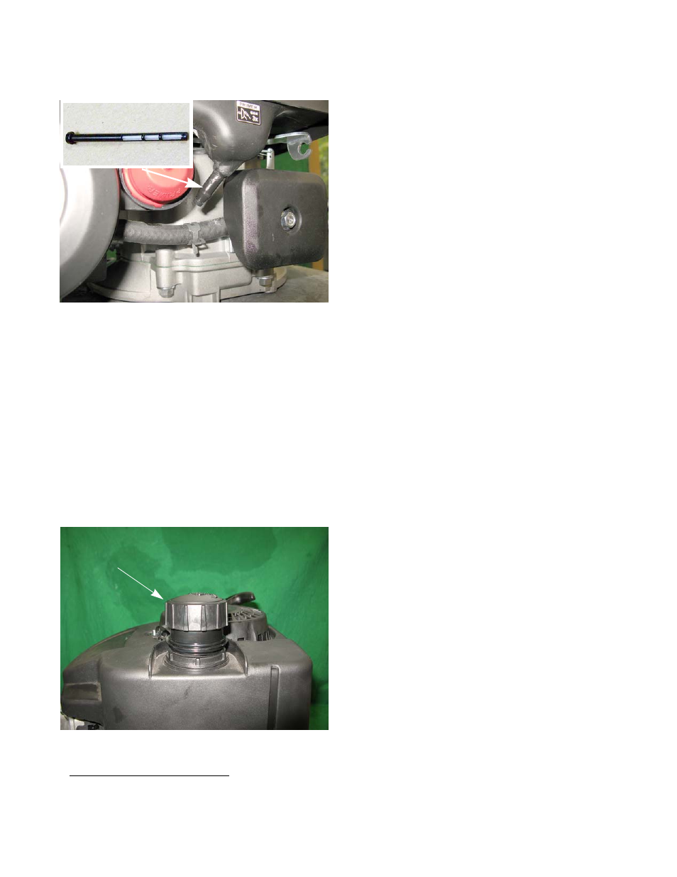 The fuel filter, Evaporative (evap) emissions system, Charcoal canister fuel caps | Cub Cadet T65 Series User Manual | Page 45 / 114