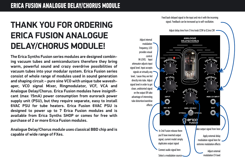 Erica fusion analogue delay/chorus module | Erica Synths Fusion analogue Chorus/Delay User Manual | Page 2 / 6