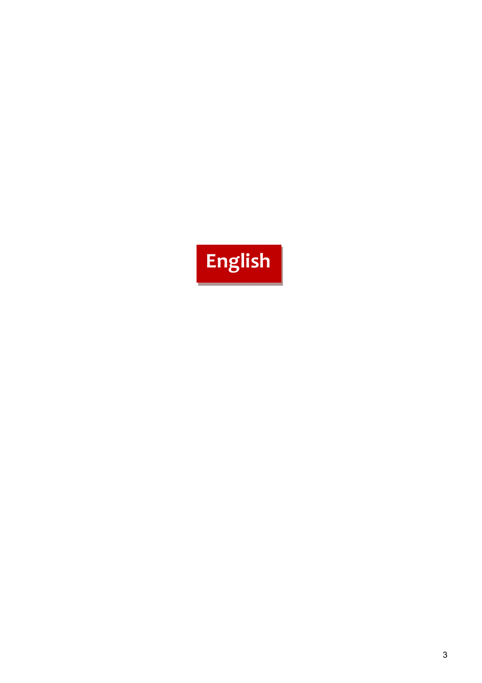 English | faytech 26" Vandal Non-Touch Monitor User Manual | Page 3 / 22