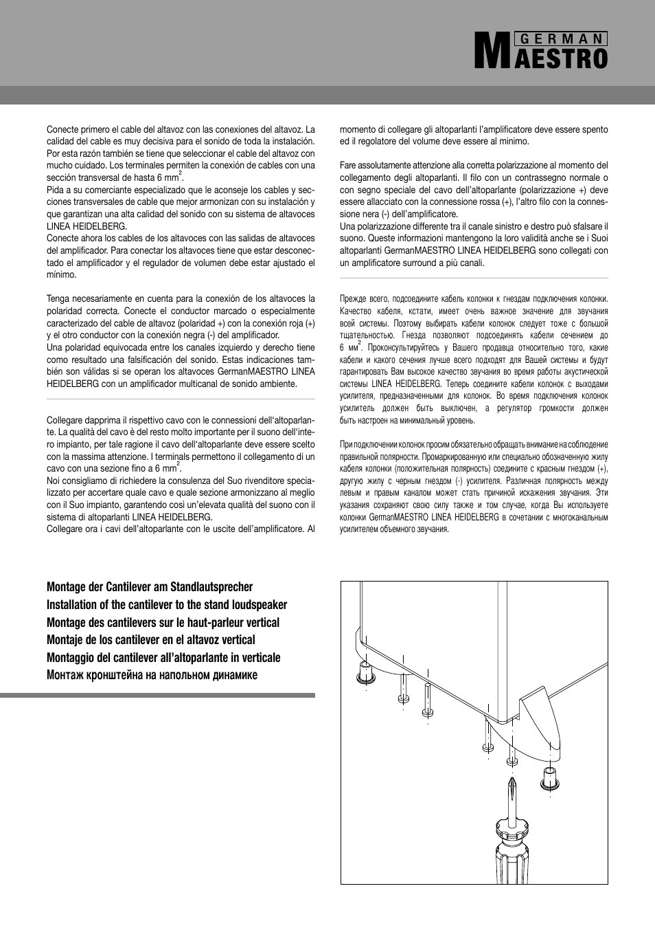 GermanMAESTRO LINEA-Heidelberg Loudspeaker User Manual | Page 4 / 6