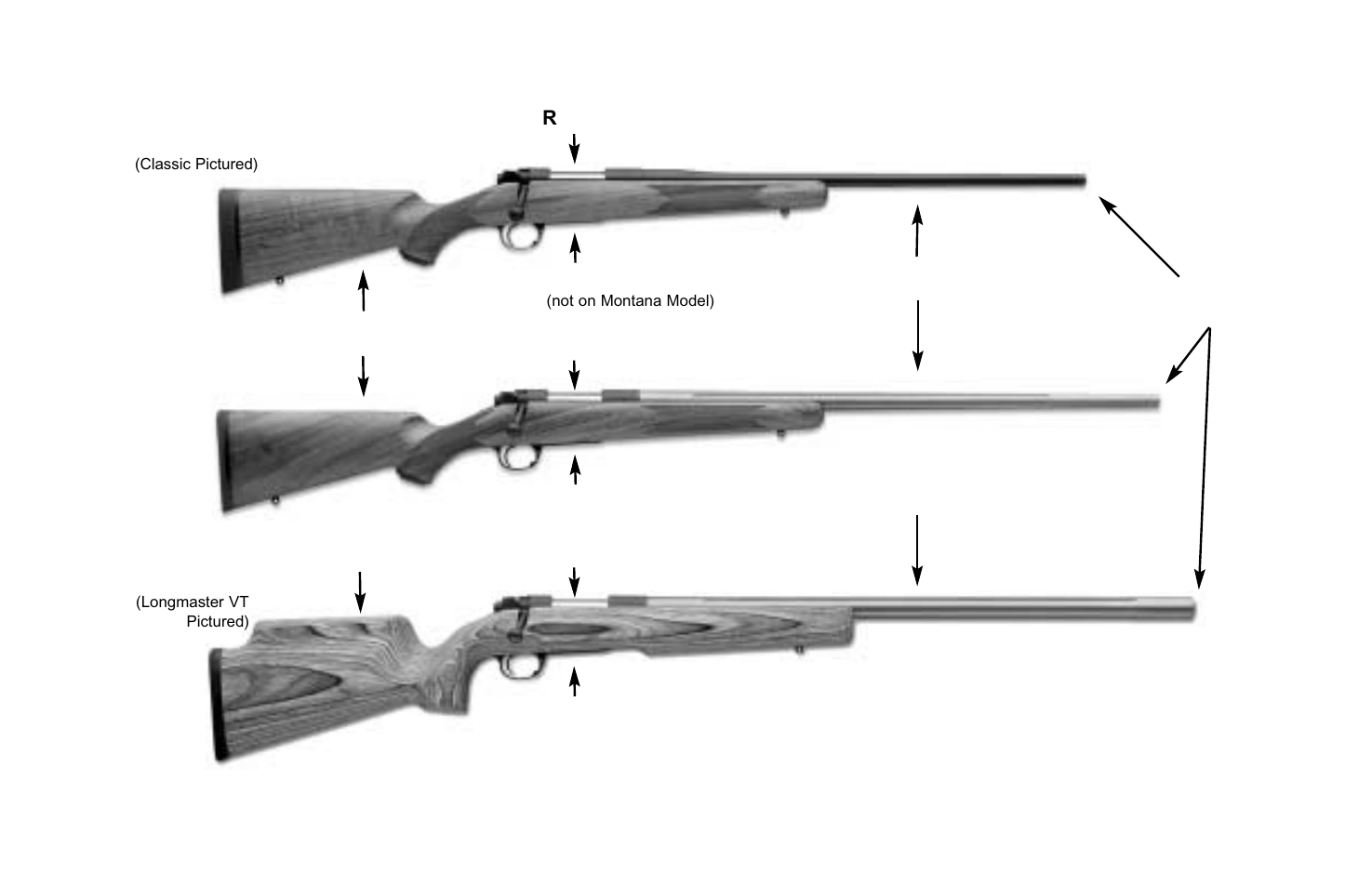 Light sporting varmint heavy barrel | Kimber Model 84M User Manual | Page 2 / 24