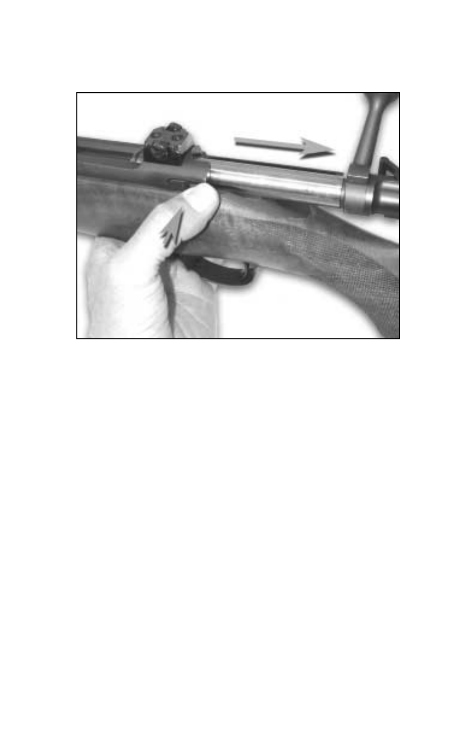 Kimber Model 8400 User Manual | Page 11 / 24