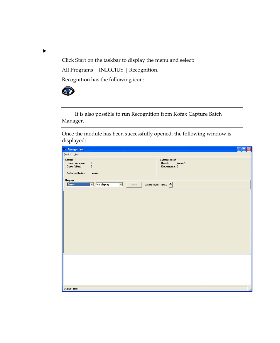 Starting recognition | Kofax INDICIUS 6.0 User Manual | Page 20 / 120