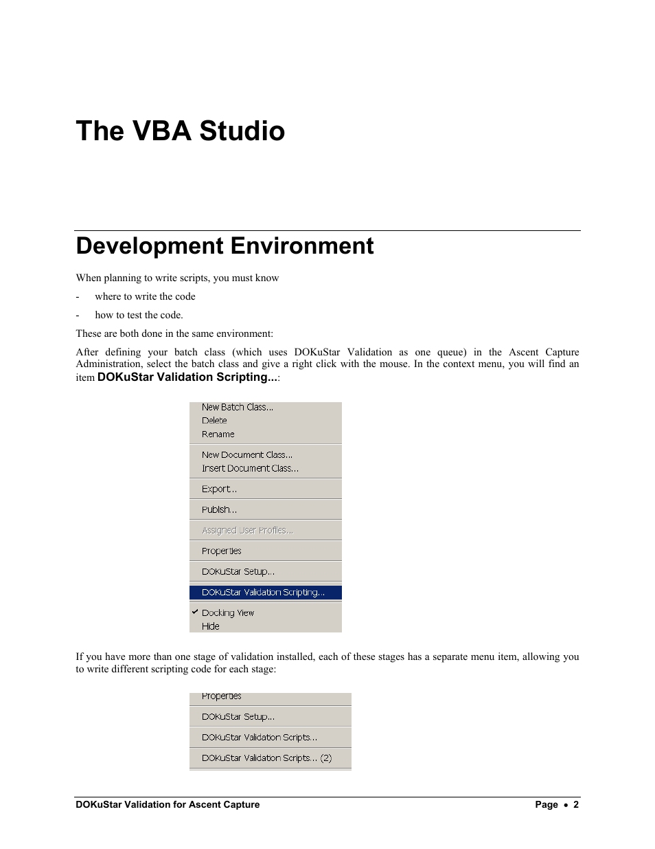 The vba studio, Development environment | Kofax DOKuStar Validation User Manual | Page 6 / 109
