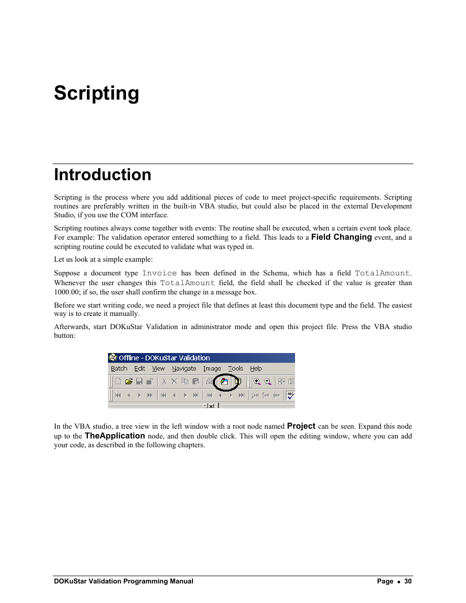 Scripting, Introduction | Kofax DOKuStar Validation User Manual | Page 34 / 118