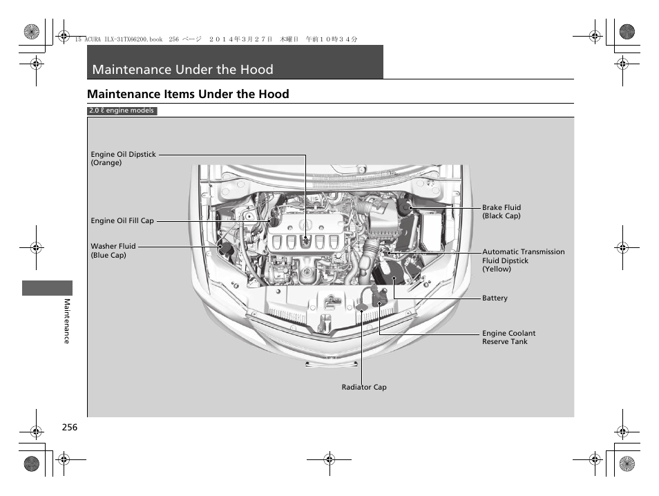 Maintenance under the hood, P 256, Maintenance items under the hood | Acura 2015 ILX - Owner's Manual User Manual | Page 257 / 353