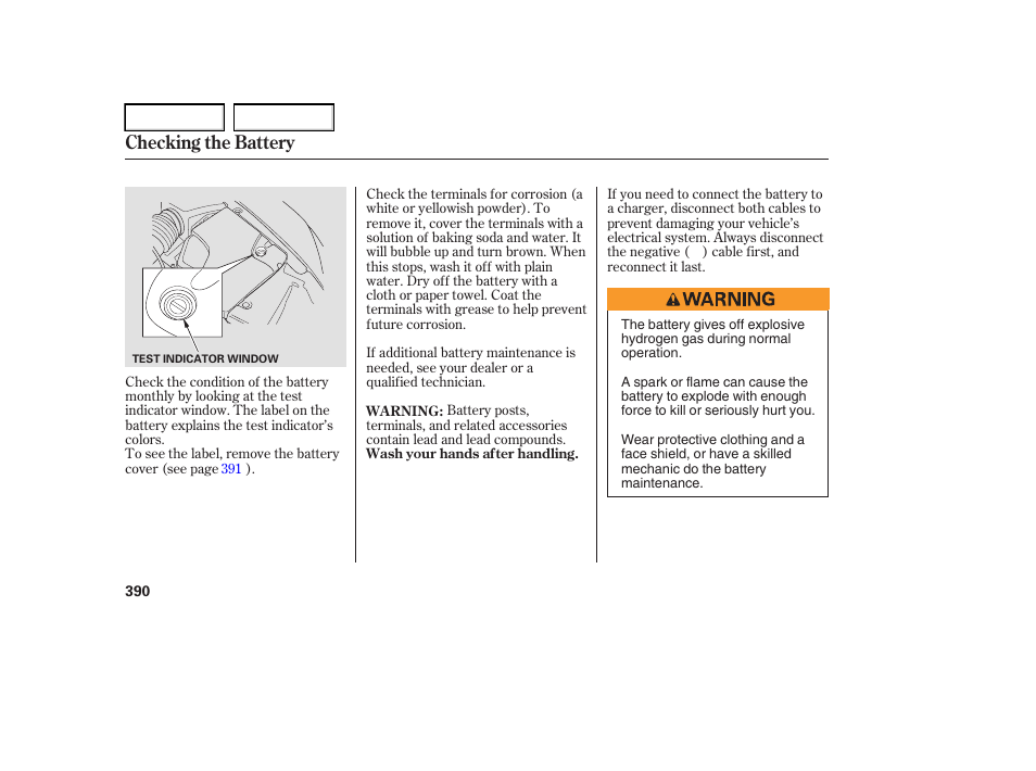 Checking the battery | Acura 2006 RL - Owner's Manual User Manual | Page 391 / 454