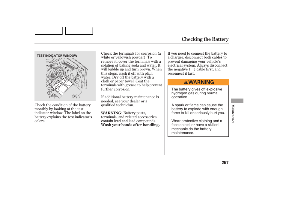 Checking the battery | Acura 2005 MDX - Owner's Manual User Manual | Page 259 / 312