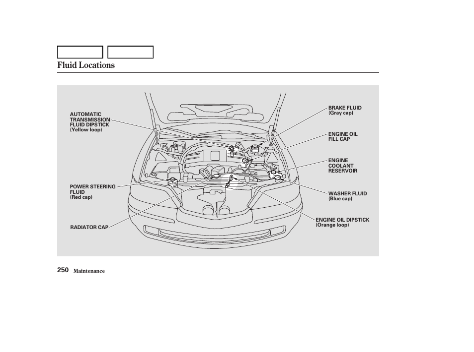 Fluid locations | Acura 2004 RL - Owner's Manual User Manual | Page 253 / 370