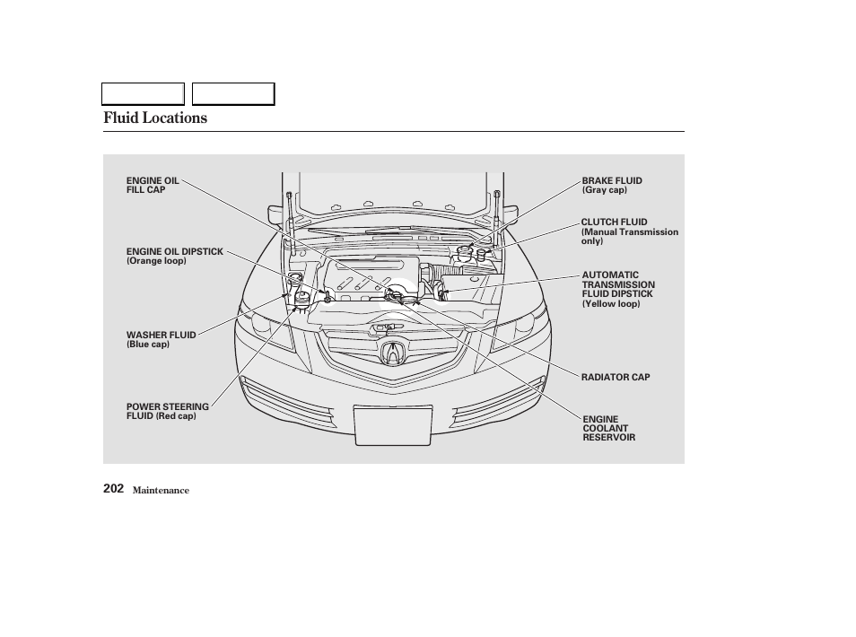 Fluid locations | Acura 2004 TL - Owner's Manual User Manual | Page 205 / 283