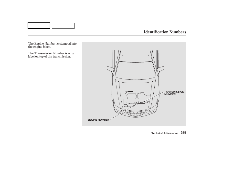 Identification numbers | Acura 2004 TL - Owner's Manual User Manual | Page 258 / 283