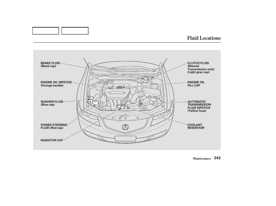 Fluid locations | Acura 2004 TSX - Owner's Manual User Manual | Page 246 / 364