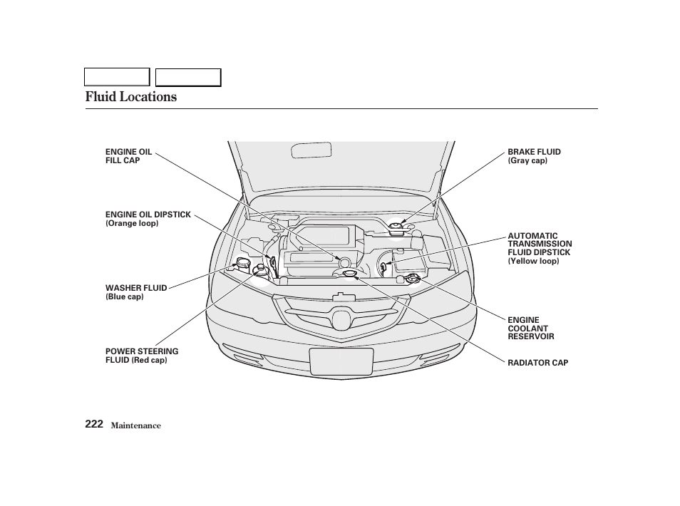 Fluid locations | Acura 2002 TL - Owner's Manual User Manual | Page 225 / 339