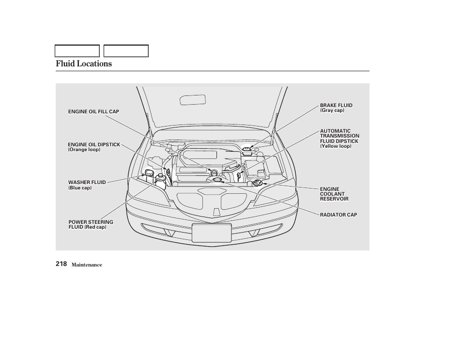 Fluid locations | Acura 2002 CL - Owner's Manual User Manual | Page 221 / 335