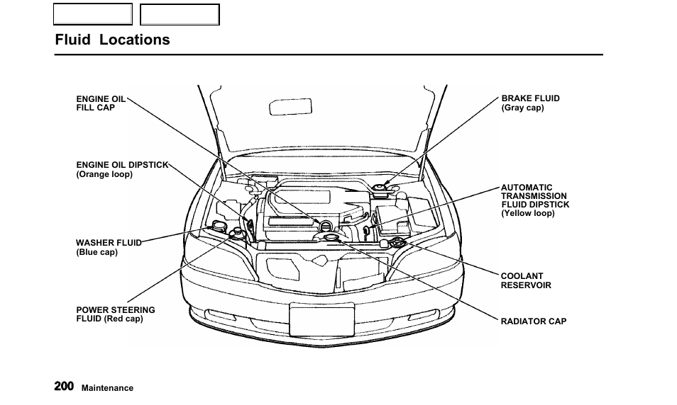 Fluid locations | Acura 2000 TL - Owner's Manual User Manual | Page 203 / 311