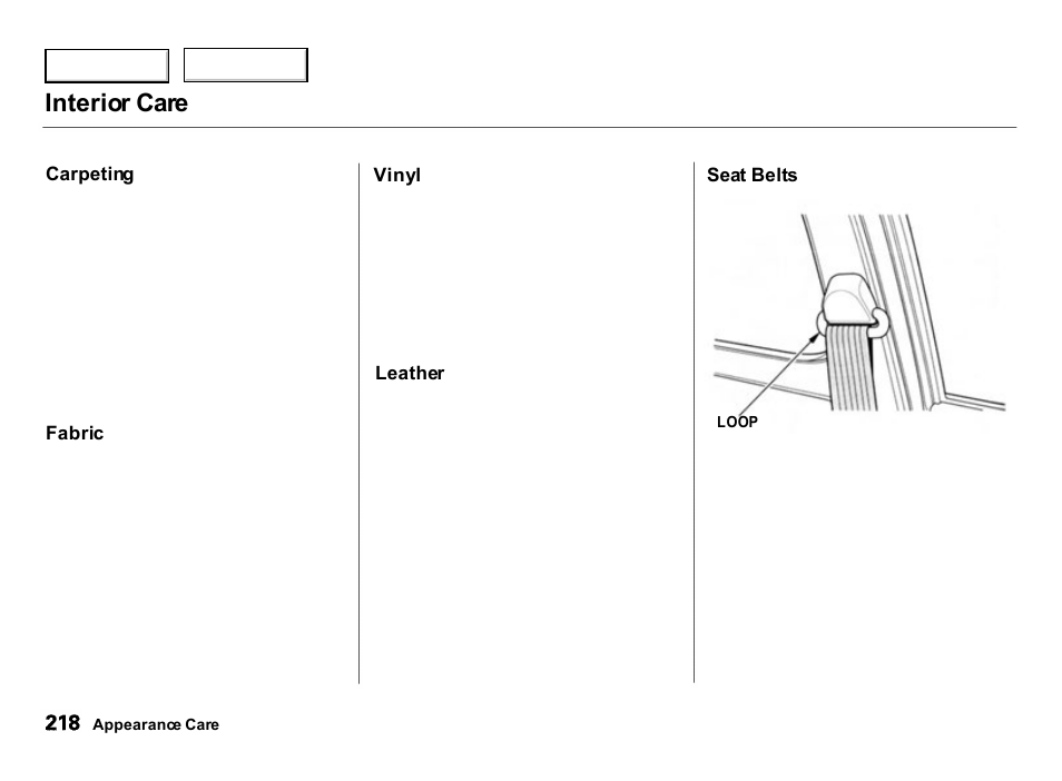 Vinyl, Interior care | Acura 2000 Integra Hatchback - Owner's Manual User Manual | Page 221 / 279
