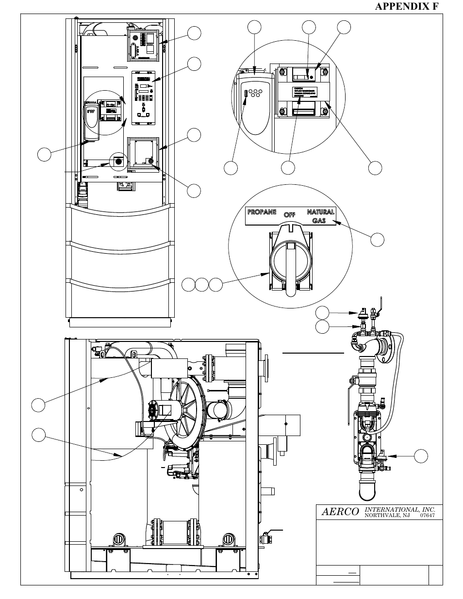 AERCO BMK 3.0 LN Nat. Gas Jan 2009 User Manual | Page 97 / 121