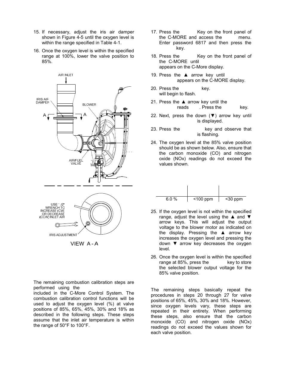 Initial start-up | AERCO BMK 3.0 LN Dual Fuel June 2010 User Manual | Page 36 / 145