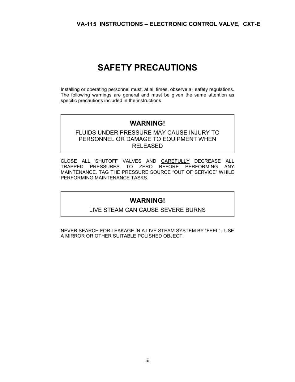 Safety precautions | AERCO Electronic Control Valve User Manual | Page 5 / 42