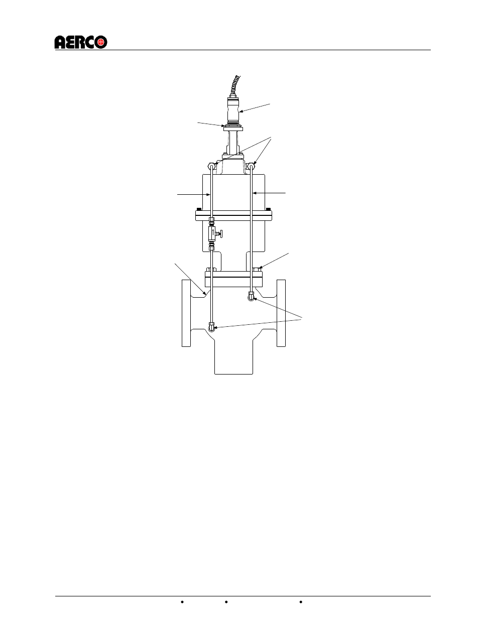 AERCO CXT-E Retrofit Kit User Manual | Page 19 / 76