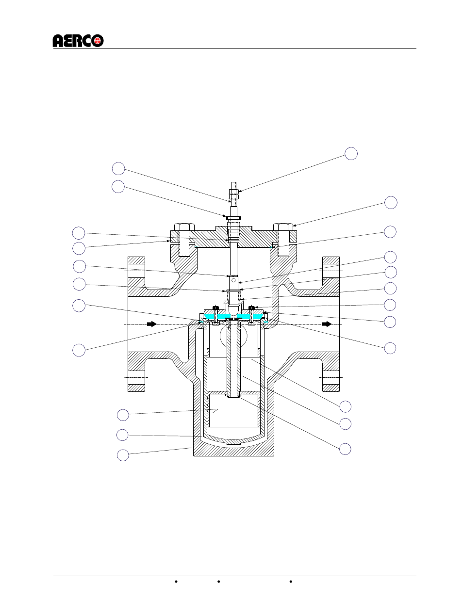 AERCO CXT-E Retrofit Kit User Manual | Page 28 / 76