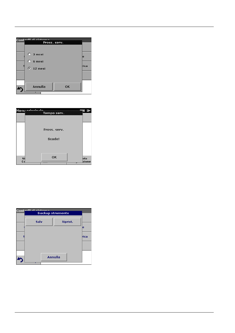 8 backup strumento, Operazioni avanzate | ALTANA LCM III User Manual | Page 215 / 234