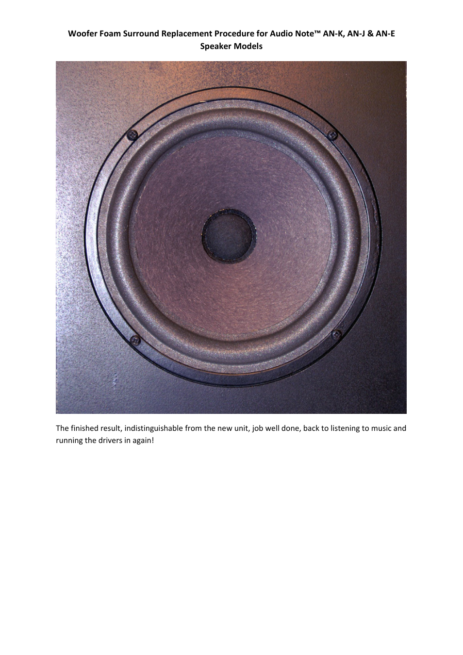 Audio Note Speaker Foam Replacement User Manual | Page 10 / 10
