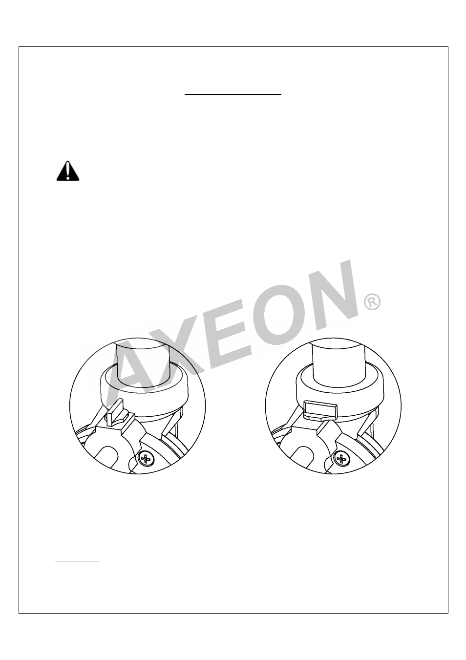 System purging | AXEON BT-Series User Manual | Page 20 / 48