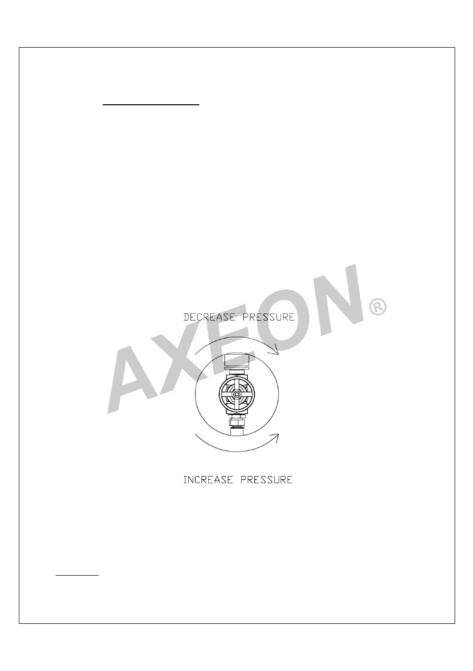 AXEON DT-Series User Manual | Page 28 / 55