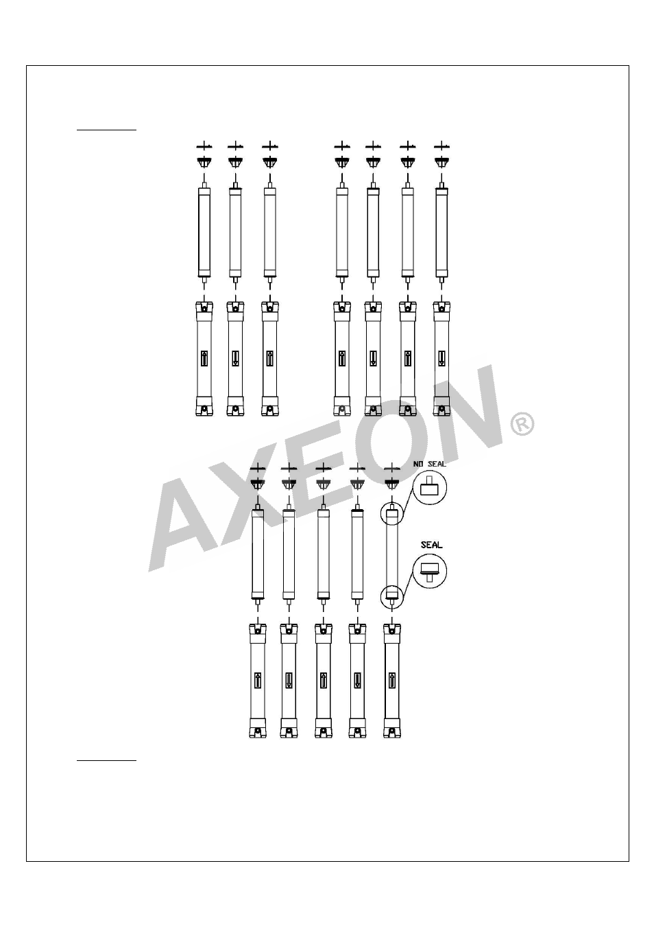 AXEON DT-Series User Manual | Page 31 / 55