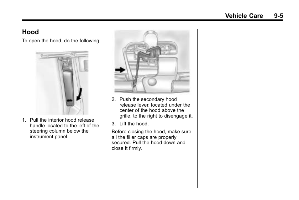 Hood, Hood -5 | Buick 2010 Lacrosse User Manual | Page 285 / 418