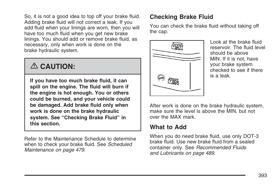 Caution | Buick 2007 Rainier User Manual | Page 393 / 534