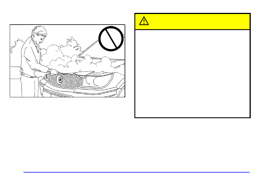 If steam is coming from your engine, Caution | Buick 2002 Rendezvous User Manual | Page 315 / 455