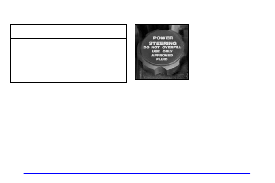 Radiator pressure cap, Power steering fluid, Radiator pressure cap notice | Buick 2002 Rendezvous User Manual | Page 375 / 455