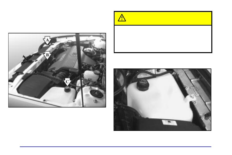 Cooling system, Caution | Buick 2001 Park Avenue User Manual | Page 246 / 392